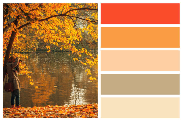 Autumn Color Palette for Interior Home Painting | Fall Foliage | Central Sound Painting | Painting Contractor Serving Pierce, King and South King County